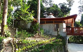 Atremaru Jungle Retreat